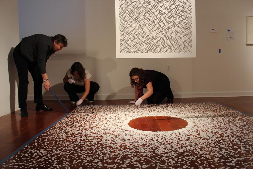 Felicia Carlisle Installation