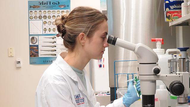 Tessa Dallo looking into microscope