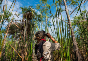 Long-term Tracking of Wetland Birds