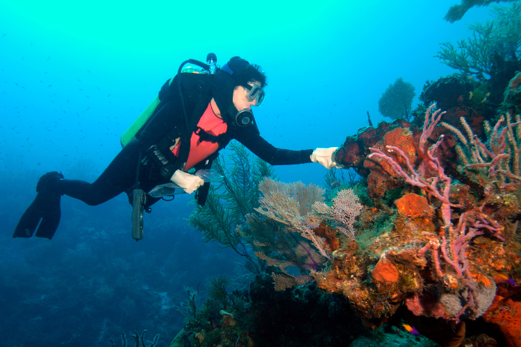 A Pharmacy in the Sea