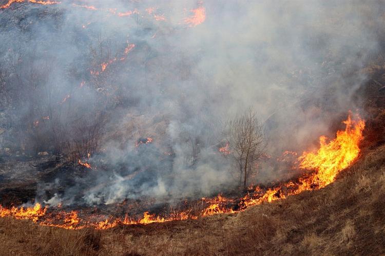 Researchers Map Wide Impacts of Fire-Induced Permafrost Thaw in Alaska